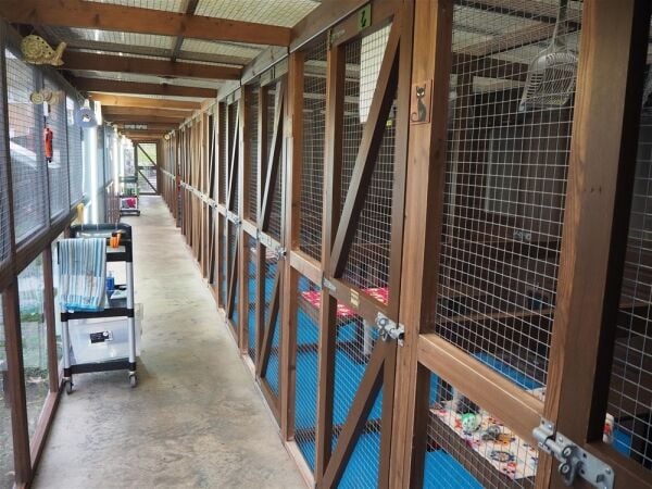 Kennels, Cattery & Equestrian businesses For Sale in Doncaster