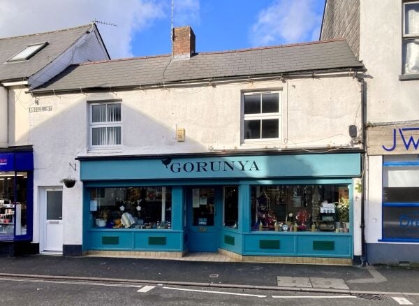 INVESTMENT PROPERTY OPPORTUNITY WITH ACCOMMODATION OR RETAIL PREMISES