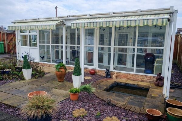 5-Star Licensed Cattery - Capacity for 30 Cats - Nottingham