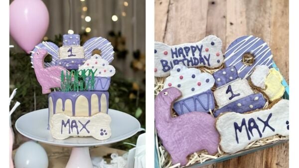 Award-Winning Dog Bakery Ecommerce Business with National Mail-Order Sales Award-Winning Dog Bakery Ecommerce Business with National Mail-Order Sales
