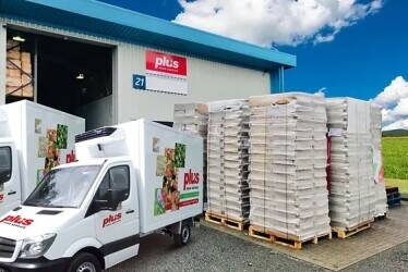 Established Pizza and Fast Food Wholesale & Distribution Business – Kent Established Pizza and Fast Food Wholesale & Distribution Business – Kent