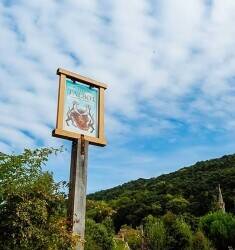 WORCESTERSHIRE/HEREFORDSHIRE BORDER - RIVERSIDE INN SET IN 2.7 ACRES
