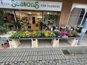 Established Florist Business for Sale – Park Farm, Allestree (Derby) 