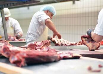 Wholesale/Catering Butchery south east coast near Brighton Wholesale/Catering Butchery south east coast near Brighton