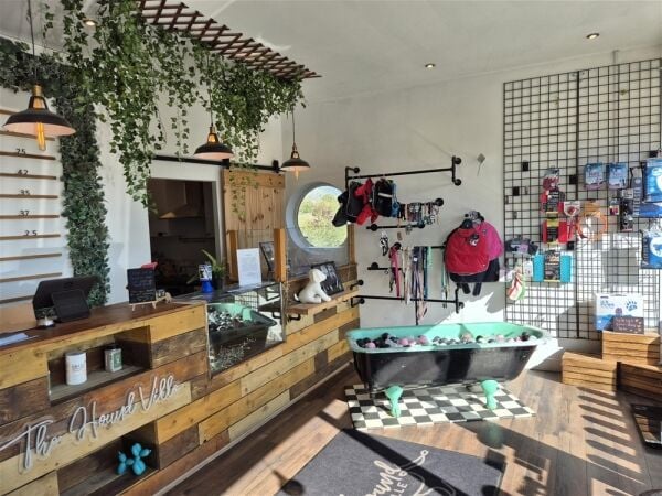 Pets, Supplies & Services For Sale in Brighouse