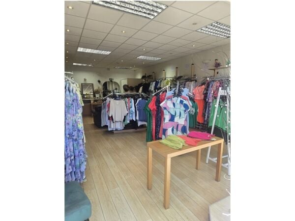 Dressed For Success – Established Ladies Fashion Boutique