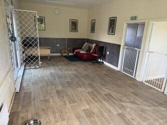 Doggy Day Care Business For Sale, County Durham Doggy Day Care Business For Sale, County Durham