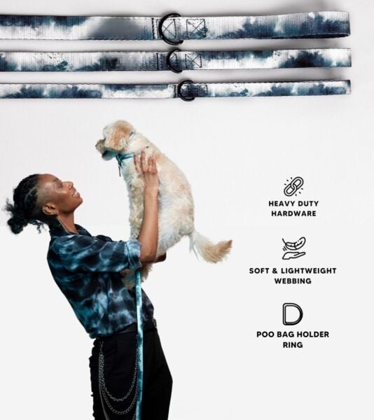 Premium Pet Accessories Brand