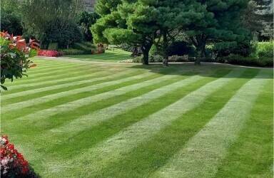 Established Gardening business. Established Gardening business.