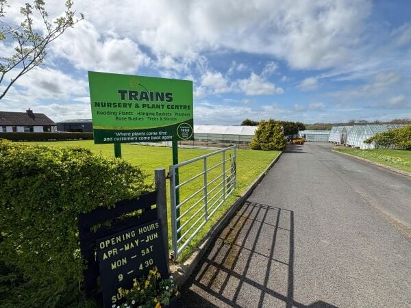 Family-run nursery and plant centre for sale in Mauchline East Ayrshire