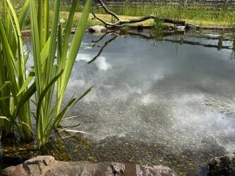 Specialist water feature construction business 