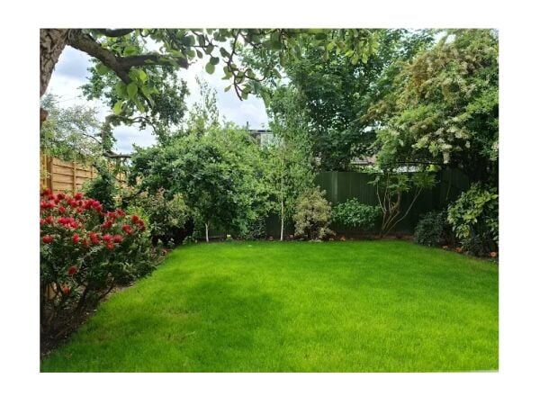 Bring Outdoor Dreams to Life – Thriving Landscaping & Garden Design Business