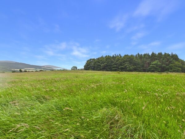 Business for Sale in Aberlour Moray Business for Sale in Aberlour Moray