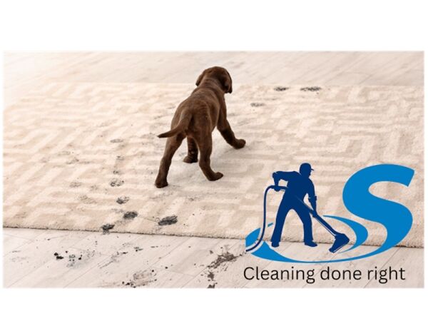 Bring Surfaces Back to Life – Thriving Carpet & Upholstery Cleaning Business Bring Surfaces Back to Life – Thriving Carpet & Upholstery Cleaning Business