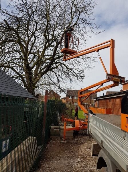 Established Tree Surgery Business - Derbyshire