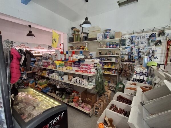 Pets, Supplies & Services For Sale in Leeds Pets, Supplies & Services For Sale in Leeds