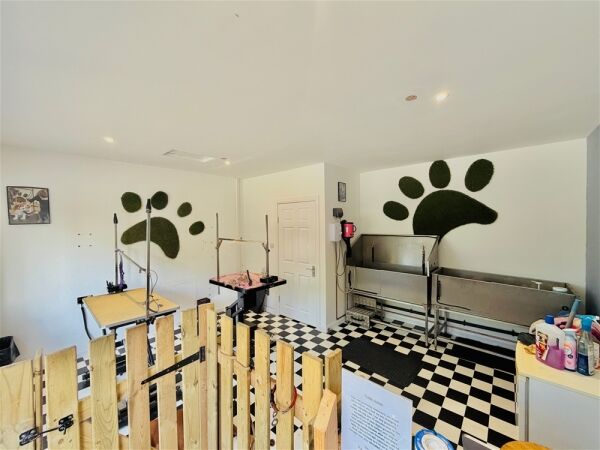Pets, Supplies & Services For Sale in Brighouse Pets, Supplies & Services For Sale in Brighouse