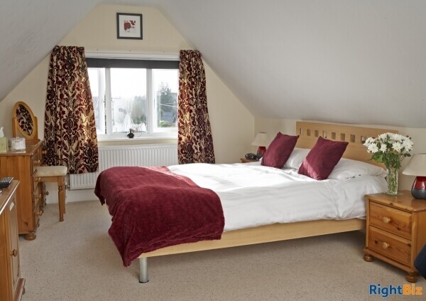 B&B in the Heart of New Forest Photo 10