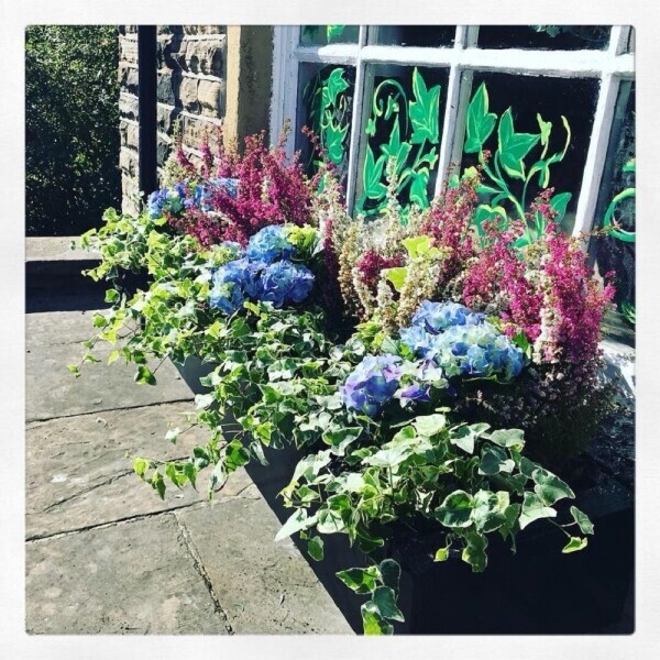 Established Local Florist Photo 10