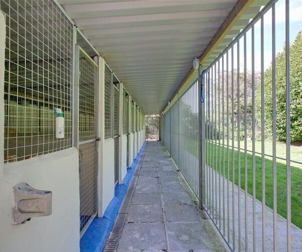 18 Acres, Kennels, Cattery and Pet Cremation service - Cornwall Photo 10