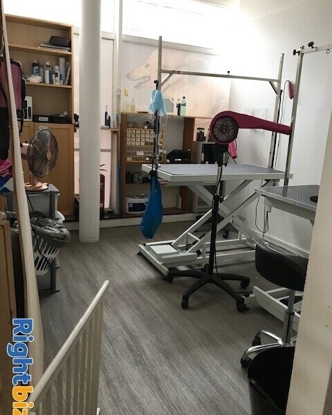 Expanding dog grooming salon with small retail area in Sussex Photo 10
