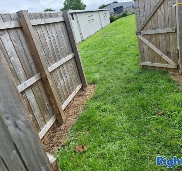 A Well Established & Equipped Dog Day-care Centre Photo 10