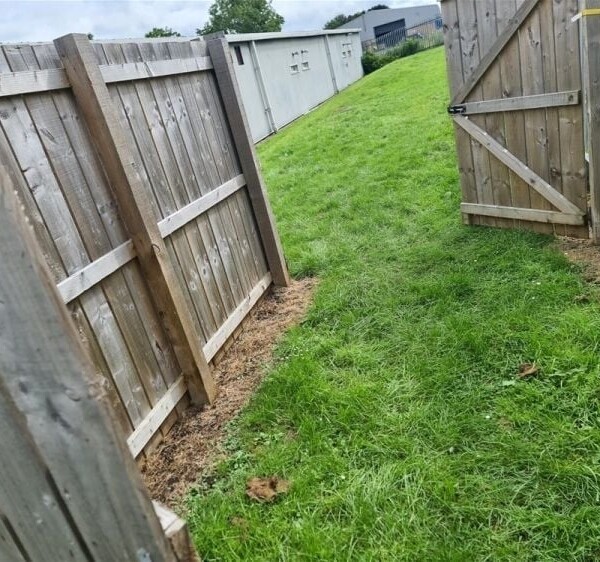 A Well Established & Equipped Dog Day-care Centre Photo 10