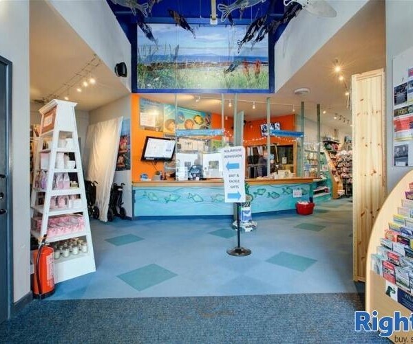 AQUARIUM AND CAFE - CUMBRIA Photo 10