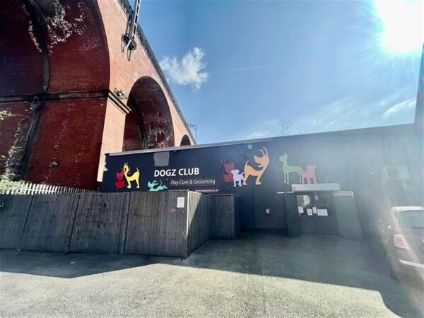 TOWN CENTRE DOGGY DAYCARE & GROOMING CENTRE based STOCKPORT Photo 10