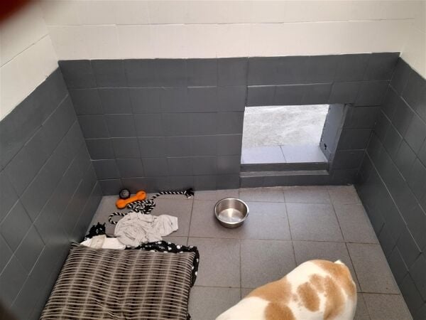 Kennels, Cattery & Equestrian businesses For Sale in Ferryhill Photo 10