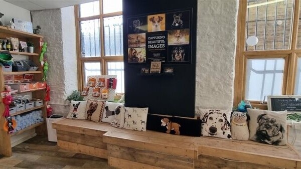 Leading Canine Hydrotherapy Centre based in Huddersfield Photo 10