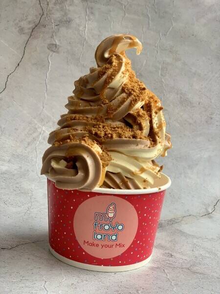 Famous Frozen Yogurt Parlour Photo 10