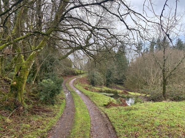 Under Offer: Recently Closed Licensed Boarding Kennels - Gwynedd Photo 10
