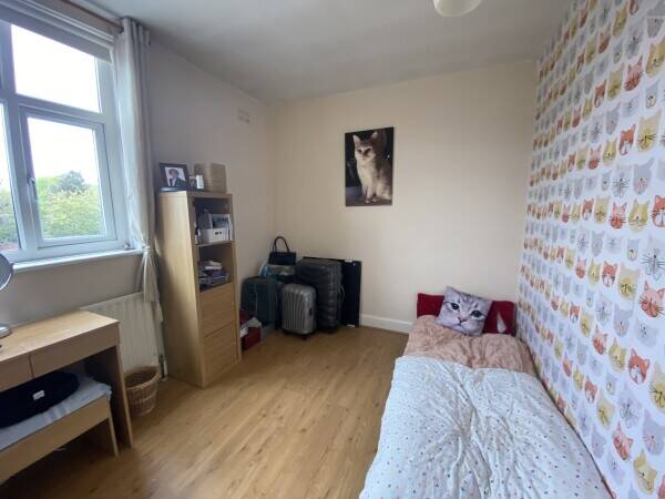 Long-Established & Thriving Cattery With Accommodation In Affluent Suburb of SW London Photo 10