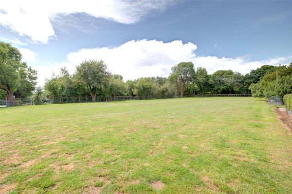 Kennels & Cattery - Worcestershire Photo 10