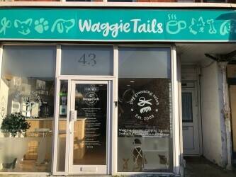 This is an excellent opportunity to purchase a well-established dog grooming business in East Sussex Photo 10