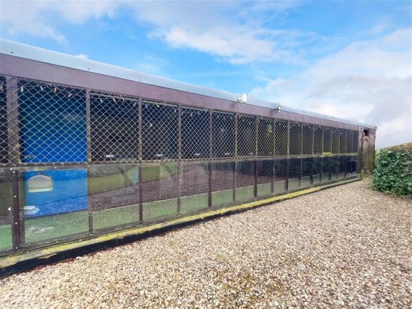 Copperfield Cattery Photo 10