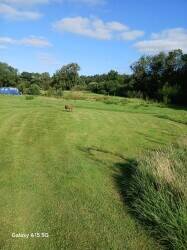 Natural meadow campsite Photo 10