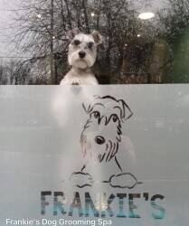Established Dog Grooming Spa in West Yorkshire