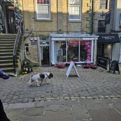 Retail Shop Skipton High st Retail Shop Skipton High st