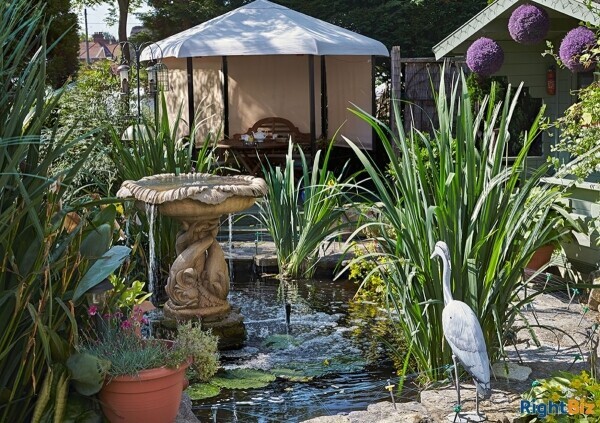 B&B in the Heart of New Forest Photo 11