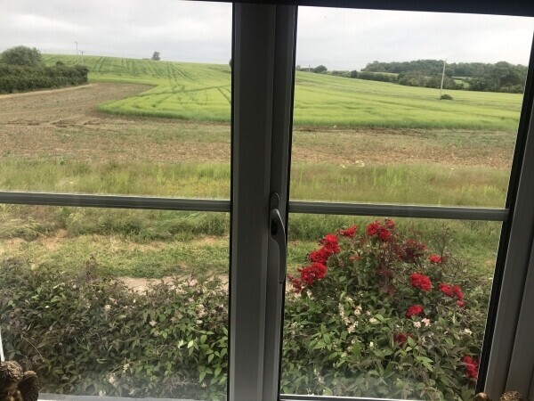 Cambridgeshire village B&B /Home for sale. Potential Expansion, prime location. Separate Annex Photo 11