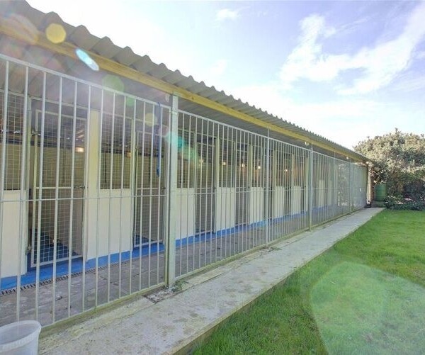 18 Acres, Kennels, Cattery and Pet Cremation service - Cornwall Photo 11
