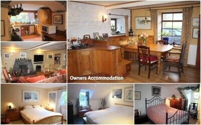 Charming Craft Shop, Coffee Shop, Gallery and Owners House Set in the stunning location of Glencoe Photo 11