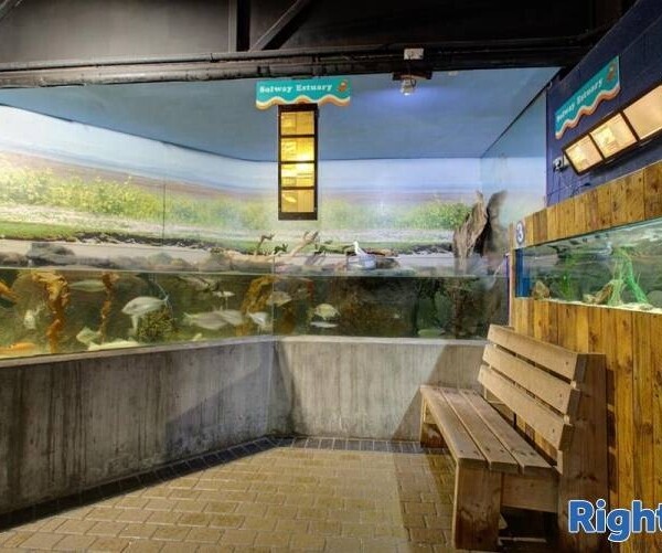 AQUARIUM AND CAFE - CUMBRIA Photo 11