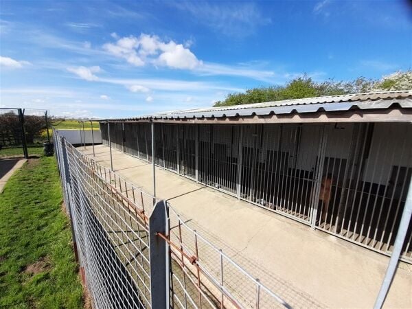 Kennels, Cattery & Equestrian businesses For Sale in Ferryhill Photo 11