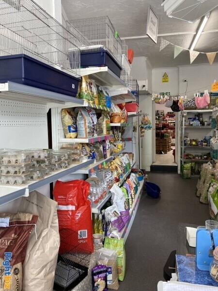 Highly successful Pet And Hardware shop Photo 11