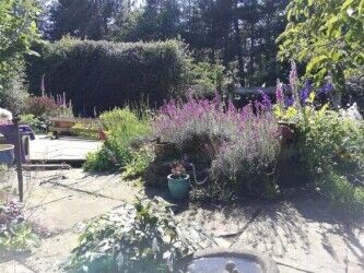 Delightful 5 Star Rated Licensed Boarding Kennels & Cattery - South Yorkshire Photo 11