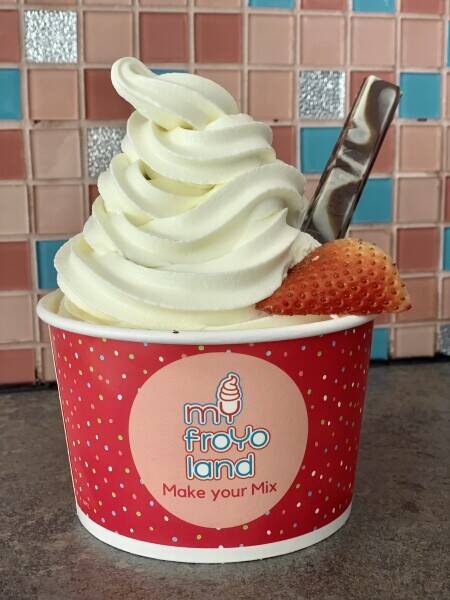Famous Frozen Yogurt Parlour Photo 11