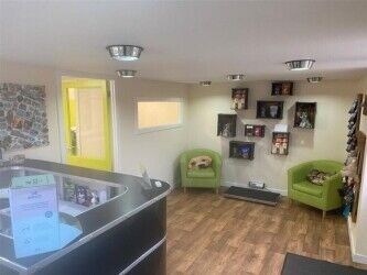 Under Offer: Kennels - Dumfries & Galloway Photo 11